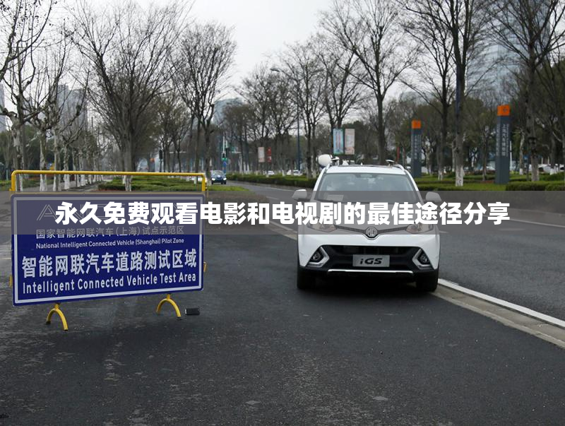 永久免费观看电影和电视剧的最佳途径分享