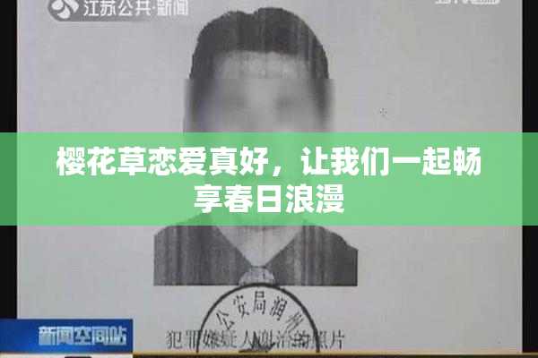 樱花草恋爱真好，让我们一起畅享春日浪漫