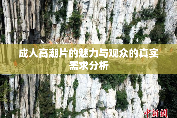 成人高潮片的魅力与观众的真实需求分析