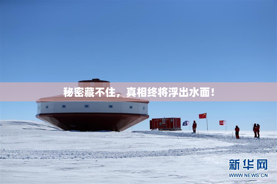 秘密藏不住，真相终将浮出水面！
