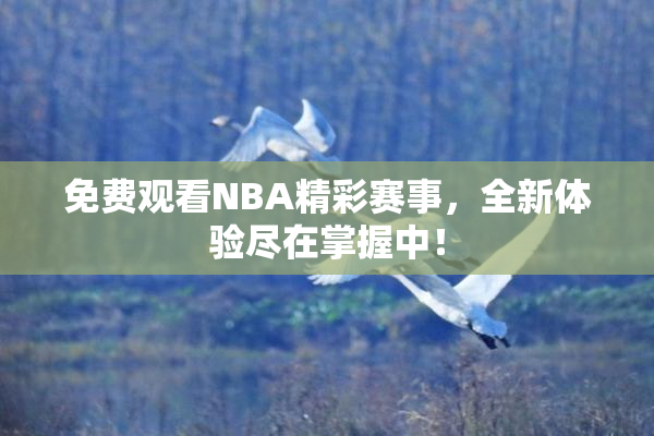 免费观看NBA精彩赛事，全新体验尽在掌握中！