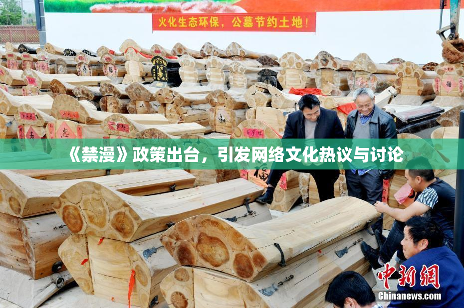 《禁漫》政策出台，引发网络文化热议与讨论
