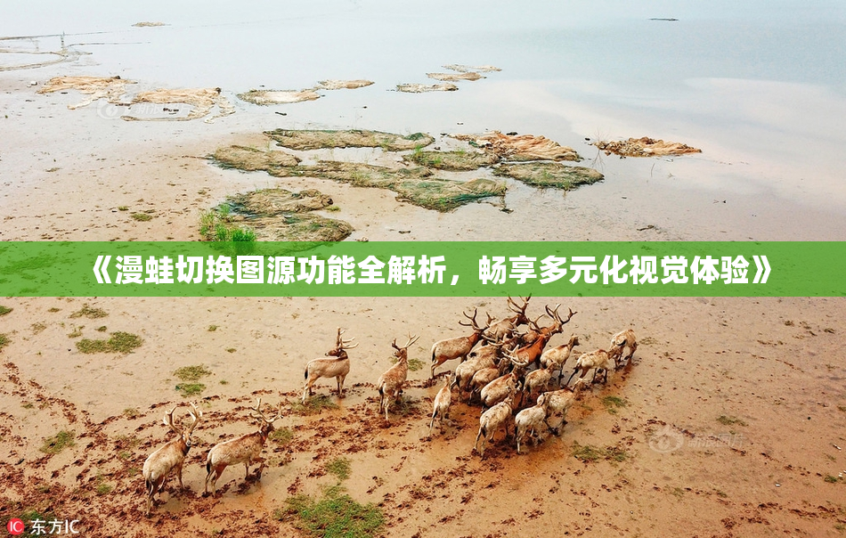 《漫蛙切换图源功能全解析，畅享多元化视觉体验》