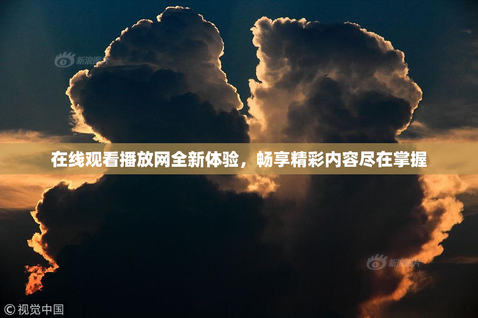 在线观看播放网全新体验，畅享精彩内容尽在掌握