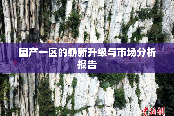 国产一区的崭新升级与市场分析报告