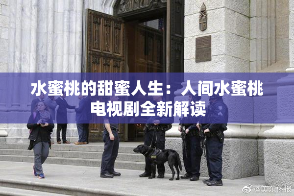 水蜜桃的甜蜜人生：人间水蜜桃电视剧全新解读