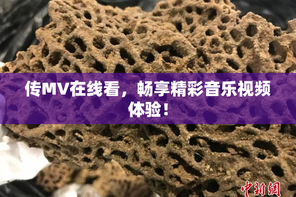 传MV在线看，畅享精彩音乐视频体验！