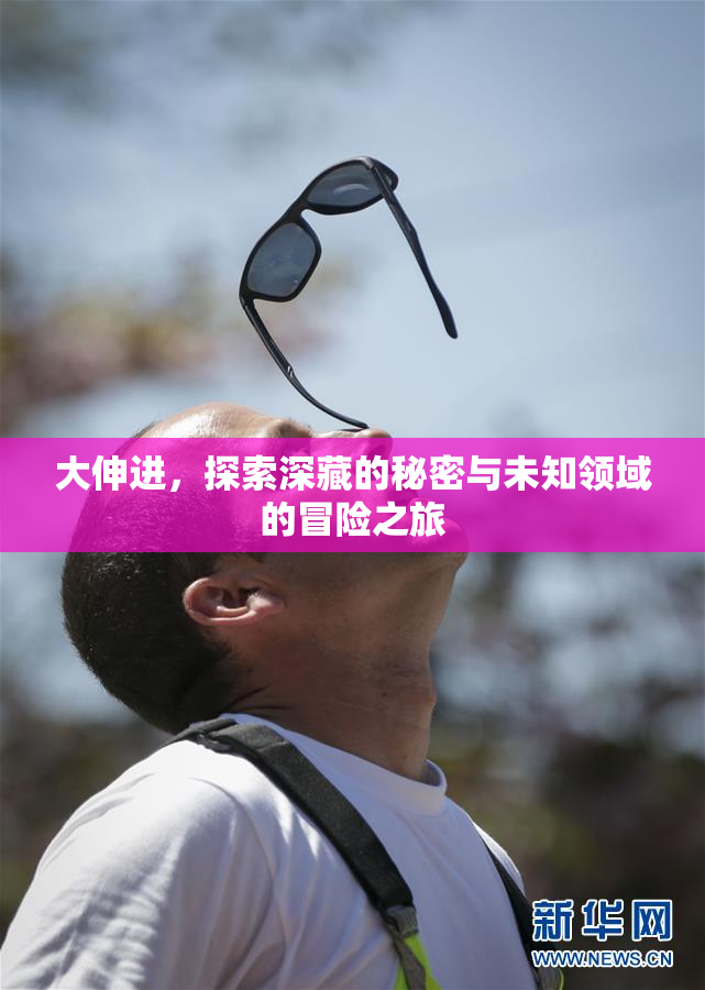 大伸进，探索深藏的秘密与未知领域的冒险之旅