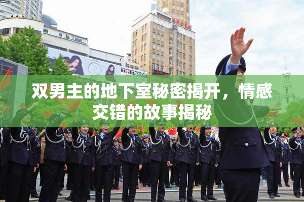 双男主的地下室秘密揭开，情感交错的故事揭秘