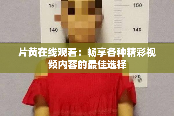 片黄在线观看：畅享各种精彩视频内容的最佳选择