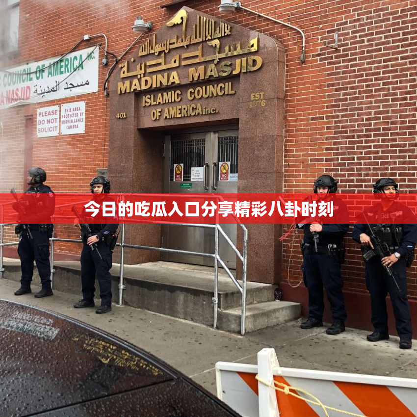 今日的吃瓜入口分享精彩八卦时刻