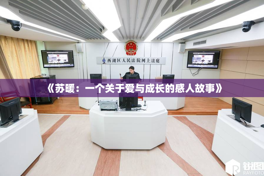 《苏暖：一个关于爱与成长的感人故事》