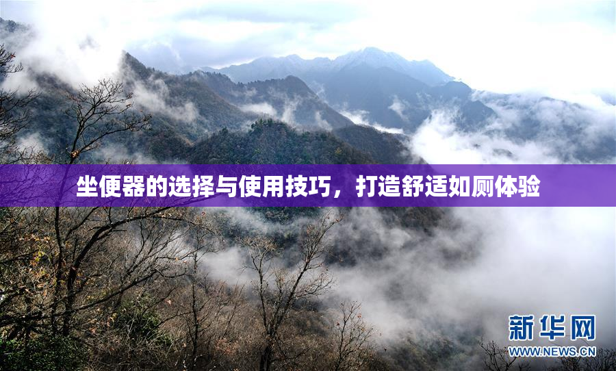 坐便器的选择与使用技巧，打造舒适如厕体验