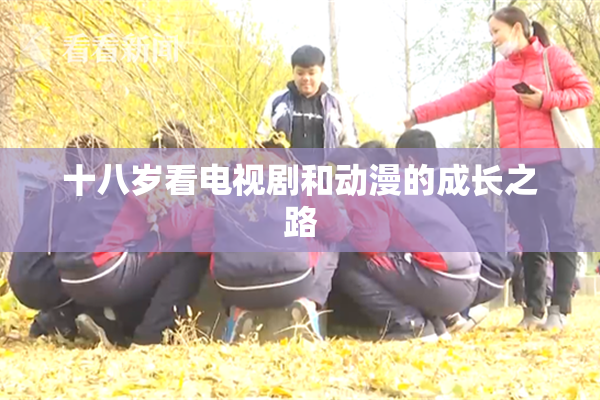 十八岁看电视剧和动漫的成长之路
