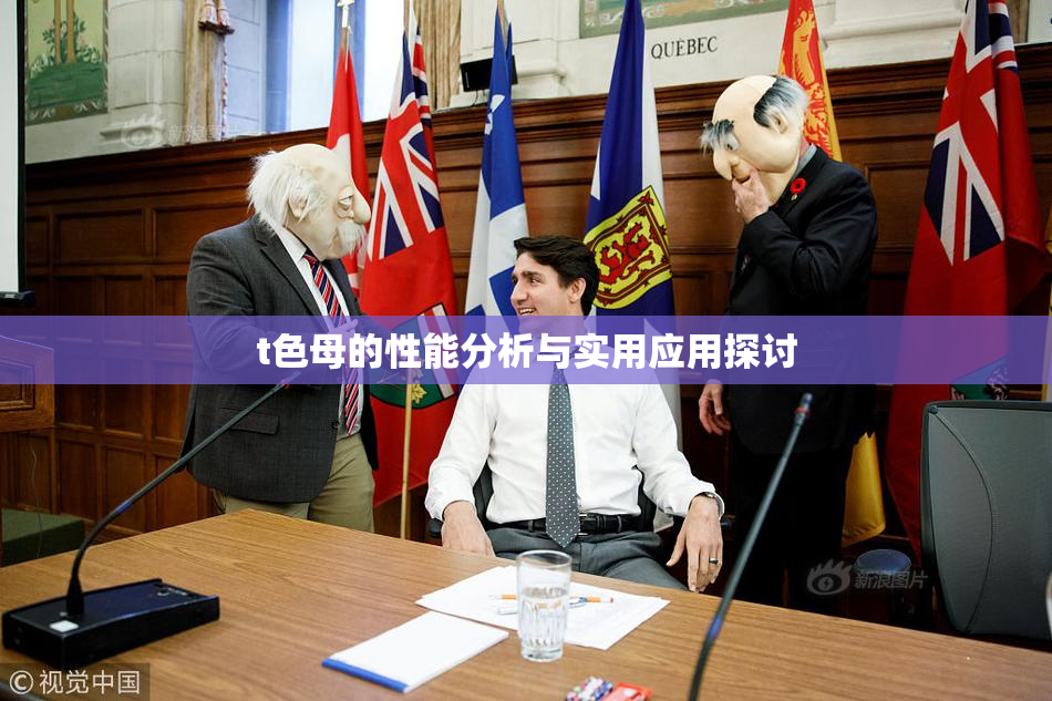 t色母的性能分析与实用应用探讨