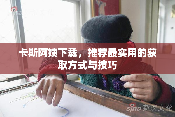 卡斯阿姨下载，推荐最实用的获取方式与技巧