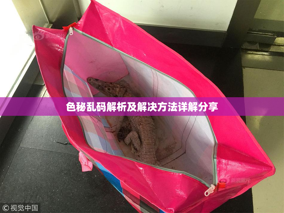 色秘乱码解析及解决方法详解分享