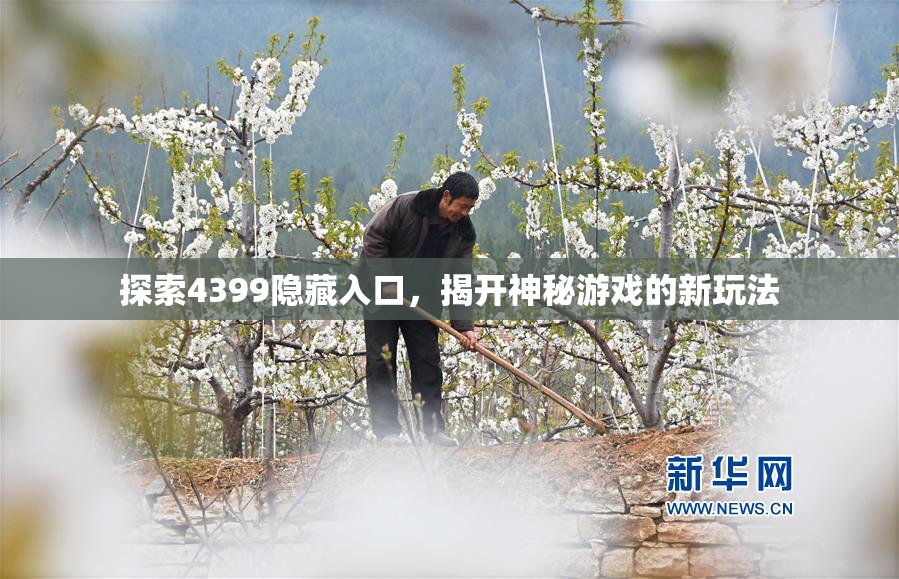探索4399隐藏入口，揭开神秘游戏的新玩法
