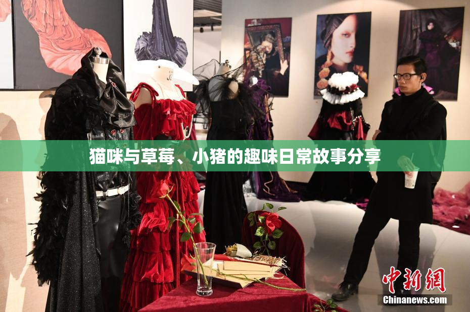 猫咪与草莓、小猪的趣味日常故事分享