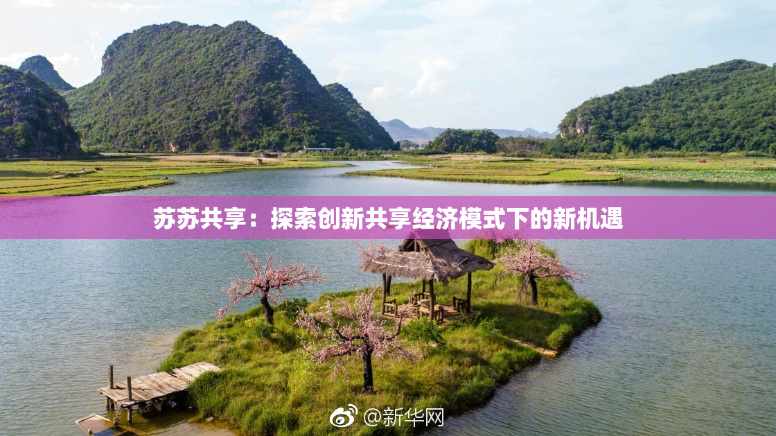 苏苏共享：探索创新共享经济模式下的新机遇