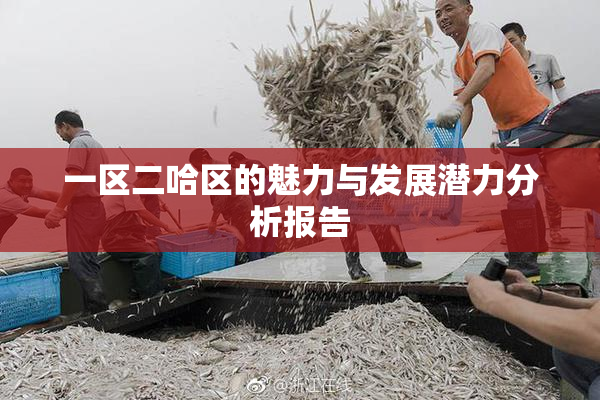 一区二哈区的魅力与发展潜力分析报告