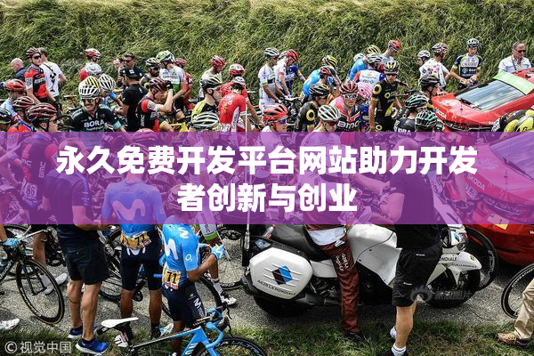 永久免费开发平台网站助力开发者创新与创业