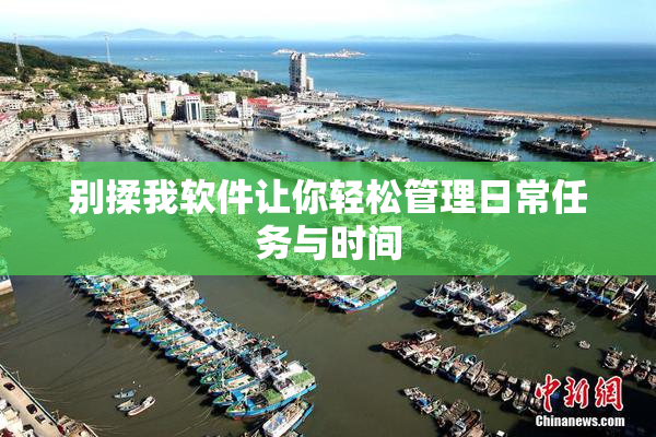 别揉我软件让你轻松管理日常任务与时间