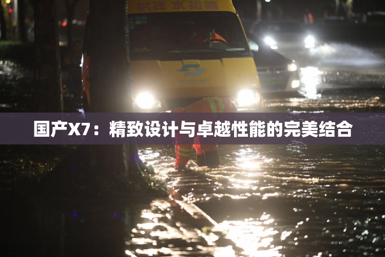 国产X7：精致设计与卓越性能的完美结合