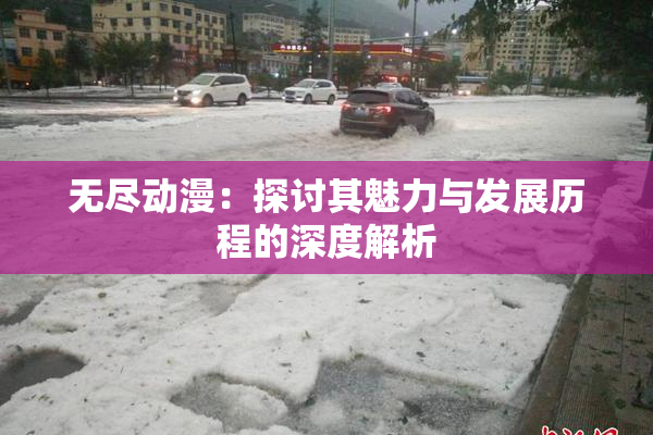 无尽动漫：探讨其魅力与发展历程的深度解析