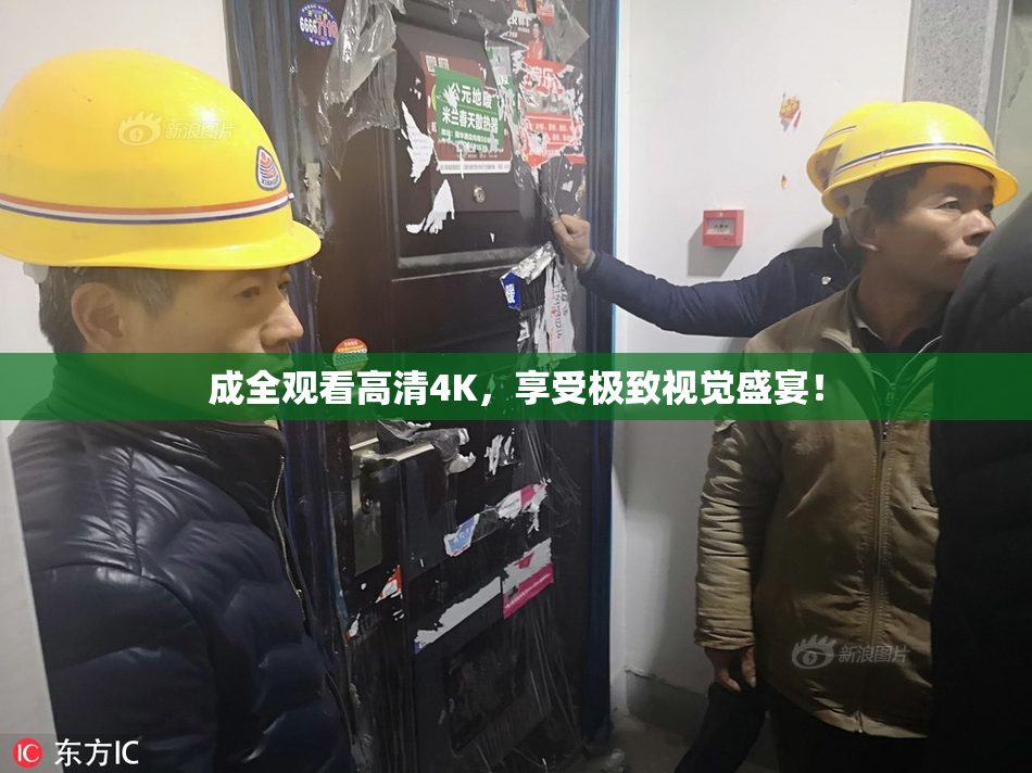 成全观看高清4K，享受极致视觉盛宴！