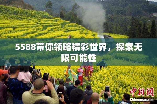 5588带你领略精彩世界，探索无限可能性
