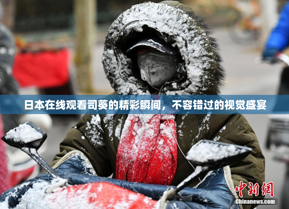 日本在线观看司葵的精彩瞬间，不容错过的视觉盛宴