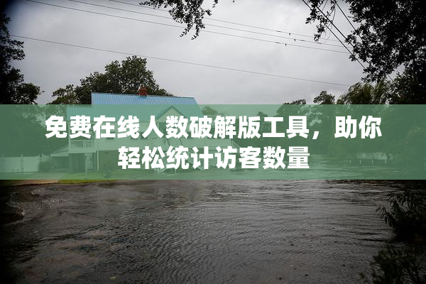 免费在线人数破解版工具，助你轻松统计访客数量