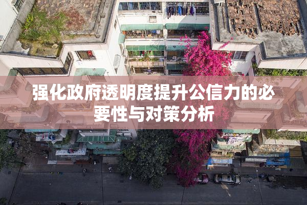 强化政府透明度提升公信力的必要性与对策分析