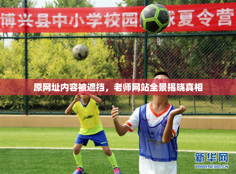 原网址内容被遮挡，老师网站全景揭晓真相