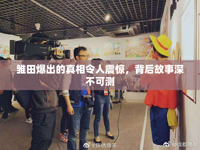 雏田爆出的真相令人震惊，背后故事深不可测