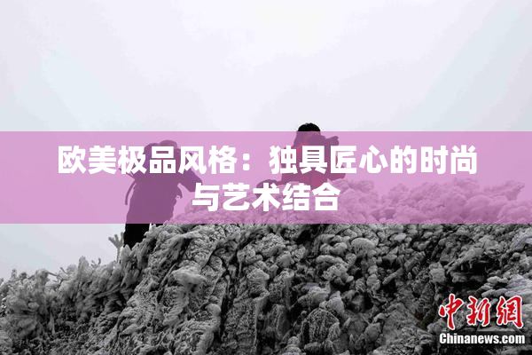 欧美极品风格：独具匠心的时尚与艺术结合