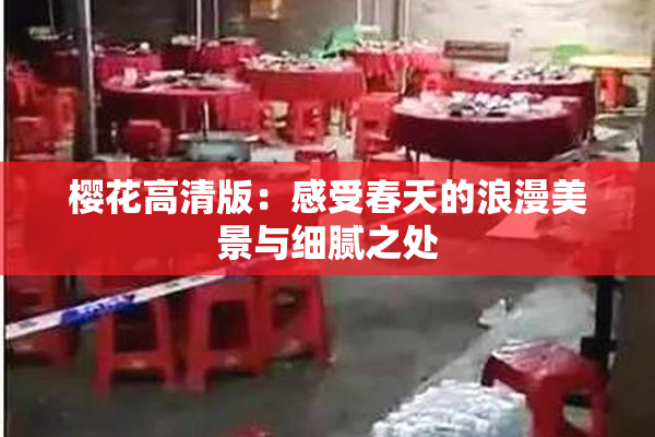 樱花高清版：感受春天的浪漫美景与细腻之处