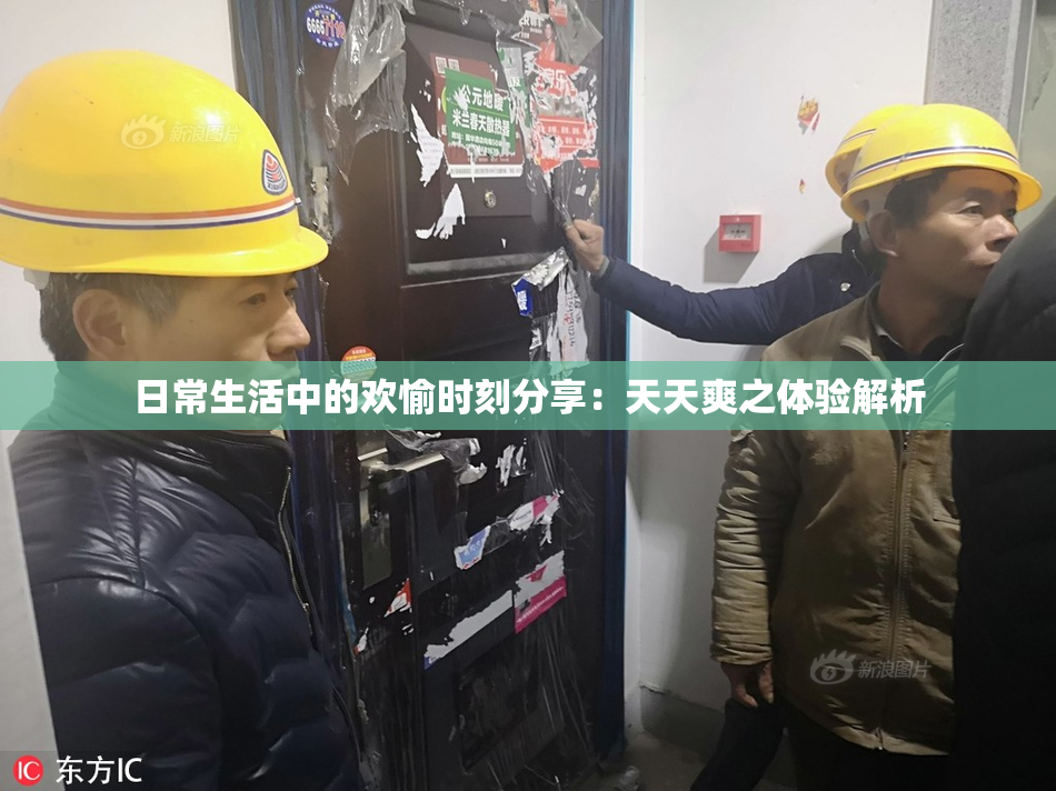 日常生活中的欢愉时刻分享：天天爽之体验解析