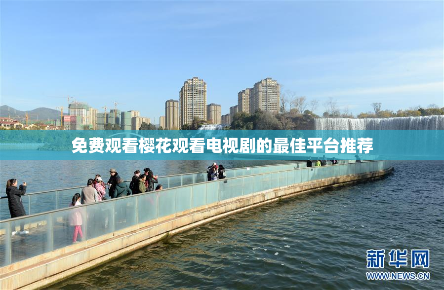 免费观看樱花观看电视剧的最佳平台推荐