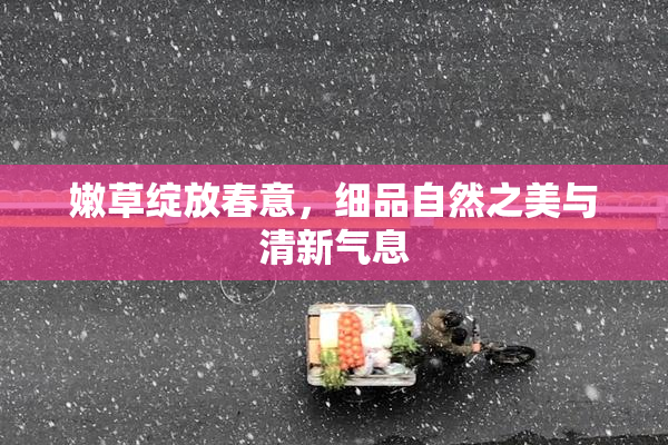 嫩草绽放春意，细品自然之美与清新气息