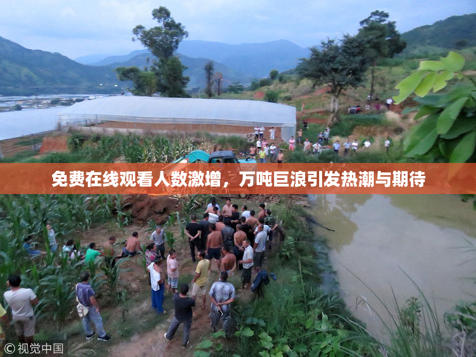 免费在线观看人数激增，万吨巨浪引发热潮与期待