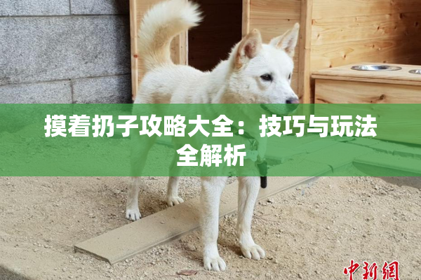 摸着扔子攻略大全：技巧与玩法全解析