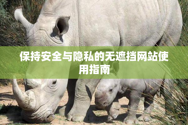 保持安全与隐私的无遮挡网站使用指南