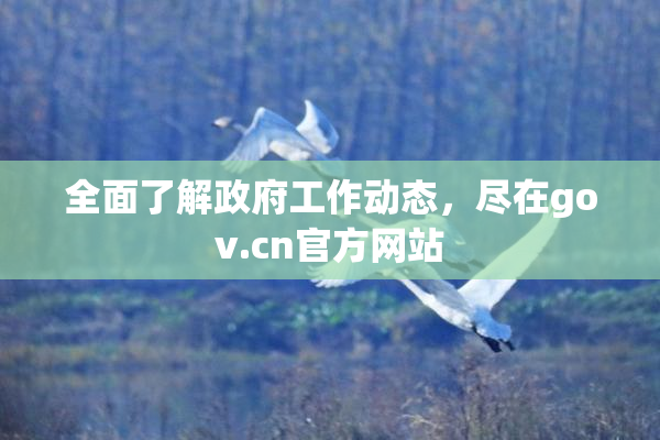 全面了解政府工作动态，尽在gov.cn官方网站