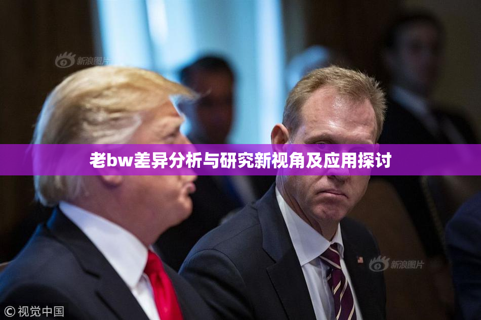 老bw差异分析与研究新视角及应用探讨