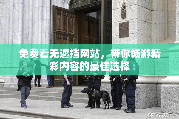 免费看无遮挡网站，带你畅游精彩内容的最佳选择
