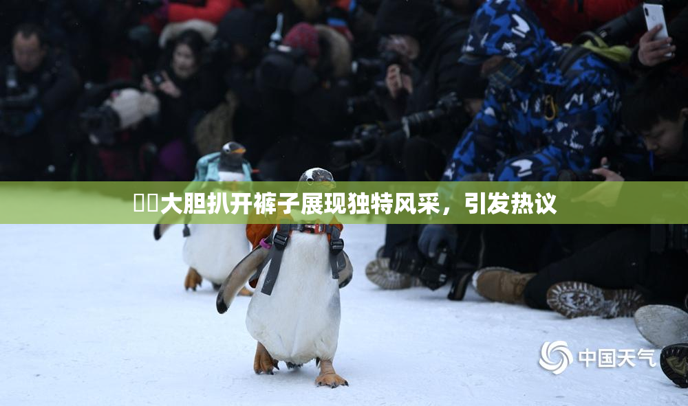 妺妺大胆扒开裤子展现独特风采，引发热议