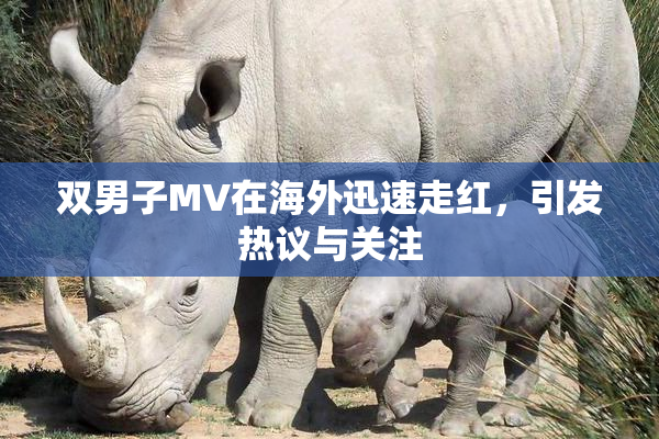 双男子MV在海外迅速走红，引发热议与关注
