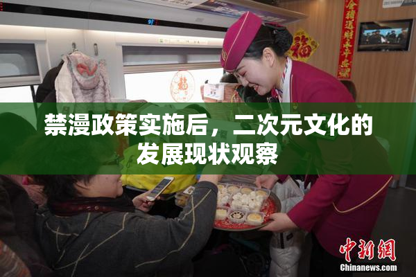 禁漫政策实施后，二次元文化的发展现状观察